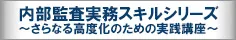 内部監査実務スキルシリーズ ～さらなる高度化のための実践講座～