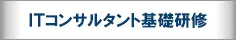 【ITコンサルタント基礎研修】体系的習得プログラム《導入・基礎レベル》